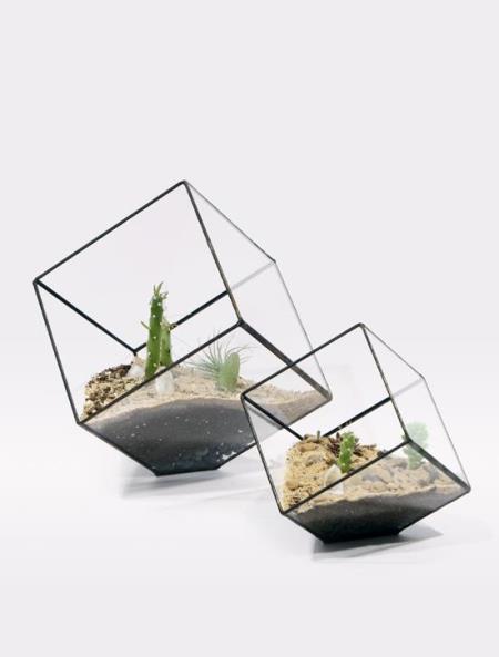 Küp Küp Bitki: The Cube Terrarium 